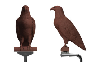 BD-EAGLE-B-005