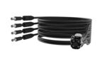 MLOC4-LS2XMXMW-15M [MLOC 4ports 3/8" LSF2 cable assembly]