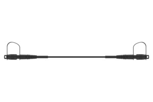 FT-12CGBDDN